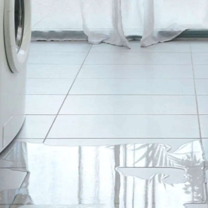 Appliance Leak Cleanup in York, SC