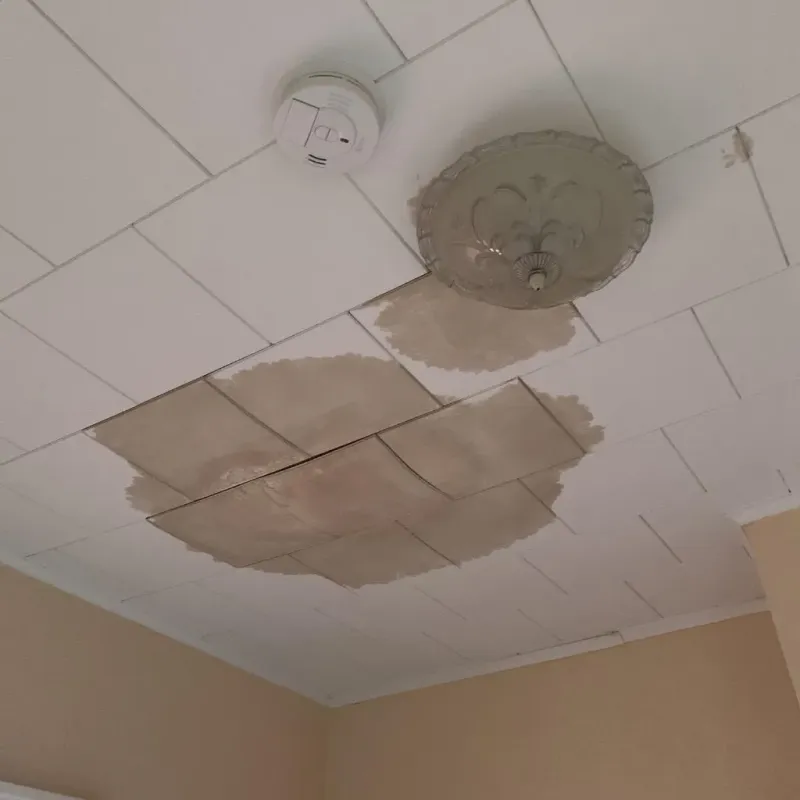Ceiling Water Damage Repair in York, SC